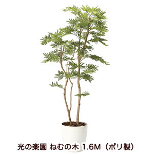 �y�l�l�w���\�z�����̊y�� (2105A360-28) �˂ނ̖� 1.6M�i�|�����j �������� 94160