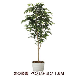 yllw\z̊y (2015A250-38) xW~ 1.6M  94171