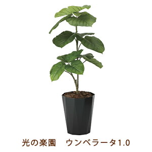 yllw\z̊y (2293K180-55) Ex[^ 1.0  99476