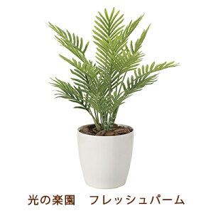 yllw\z̊y (2217A50-63) tbV p[  99497