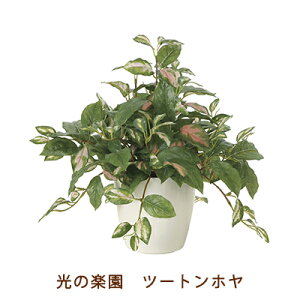 yllw\z̊y (2214A75-67) c[g z  99506