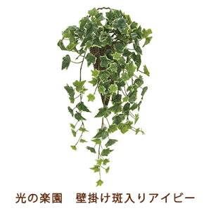 yllw\z̊y (2274A70-72) Ǌ|  ACr[  99514