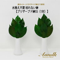 【ポイント3倍 4/4 20時から】 【個人様購入可能】●(郵送) 水換え不要 枯れない 榊 プリザーブド 榊 SS…