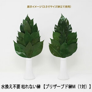 yllw\z(X) sv ͂Ȃ  vU[uh  Mi1΁j TJL  vU[uh   vU[uh  _I _ ȒP   p ֗ObY Y