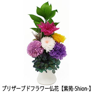 y5%OFF Ԍzyllw\z sv ͂Ȃ   vU[uht[ Ԋt^Cv y-Shion-z[AKF-073] AK  75647