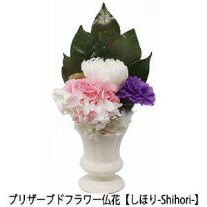 yllw\z sv ͂Ȃ   vU[uht[ Ԋt^Cv yق-Shihori-z[AKM-004] AK  75655