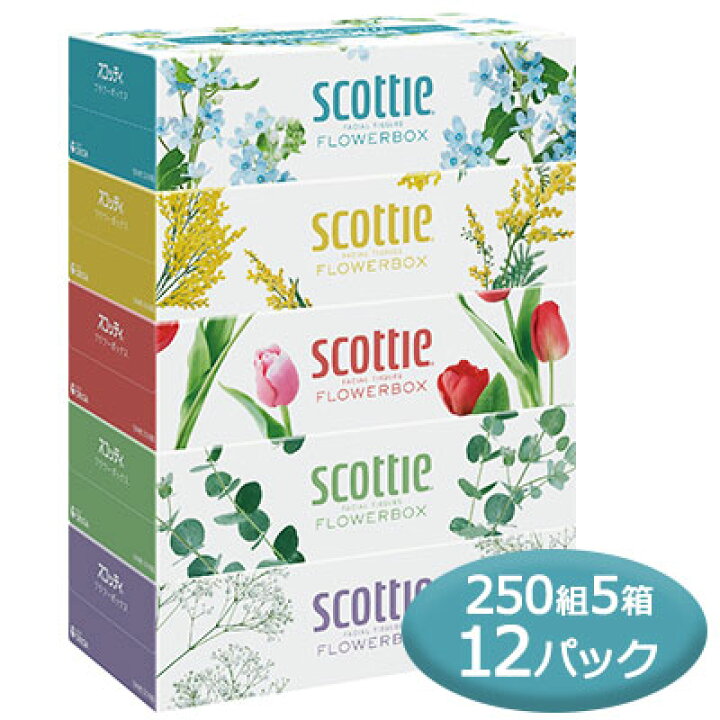 楽天市場】【法人・企業様限定販売】 スコッティ ティシュー フラワー