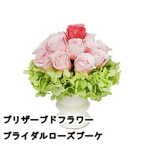 �y�l�l�w���\�z�� �v���U�[�u�h�t�����[�u���C�_�����[�Y�u�[�P A&K [ MF-22 ] �������� 75865