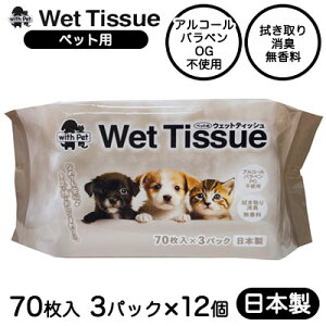 yllw\z aH ybgp EFbgeBbV 70×3pbN×12 Wet Tissue { EGbg mAR[  03071