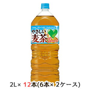 y|Cg3{ Ԍzyllw\z[] Tg[ GREEN DAEKAERA ₳  2L PET 12{ (6{×2P[X) O[ _J 唞    48794