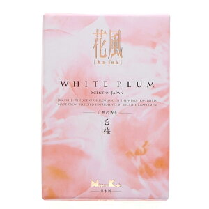 ���� ���{���� �ԕ� ���~ �o���l