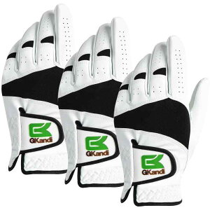 StO[u Y 3Zbg VRrvƃ}CNt@Co[U[̑gݍ킹 _炩 Lk ʋC ϖՐ ɂObv  J ɋ SV󃂃f StEFA GK-