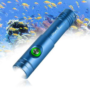 Odepro WD12 ő1050[ _CrOCg IP68Cg _Co[Cg_CrO pd LED iCg_CrO