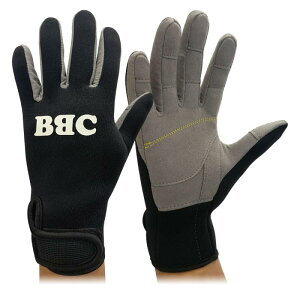 BBC }O[u1 _CrO O[u Y fB[X J Obv t  H