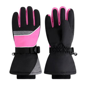 XL[O[u q h {[CY LbY Xm[ qǂ ~yh/5wfM/~/Nсzj̎q ̎q Xm[{[hEVсEʊw