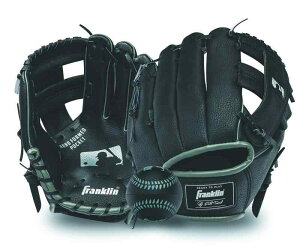 FranklinitNj 9.5C` MLBiW[[OjS O[u{[ Zbg ubN/JV}쏊iKashimayaj