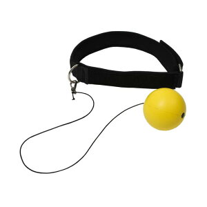 BODYMAKER({fB[J[) wbhXs[h{[DX {NVO {[ ̎ ː_o u  ȒP XgXU XgX iZ 