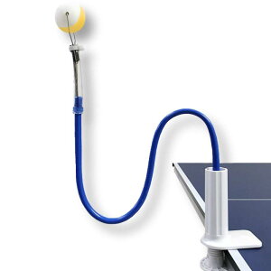 VICHE CATT 싅 K@ fU g[jO }V 1l Kp  RpNg (ݍ݃^Cv, S65cm)