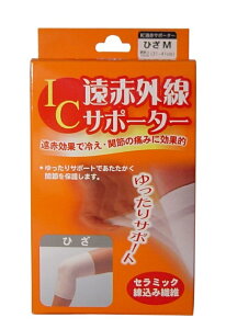 ICԊOT|[^[Ђp MTCYyz