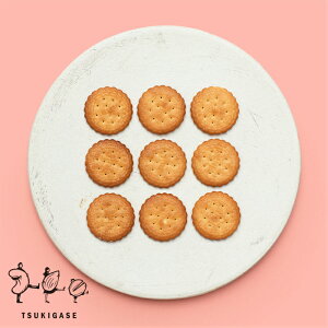 ~[rXPbg 145g َq ܂