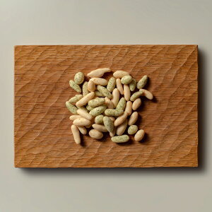 pXA[h 560g ܂ َq َq  Ɩp