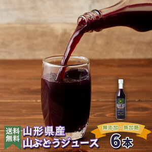 ԂǂW[X  100% Xg[g Y  O[vW[X ܂Ƃߔ  Y Yn RԂǂW[X R` k sgp 600ml 6{Zbg t[cW[X 