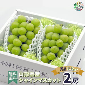 VC}XJbg 1.2kg 2[ Ԃǂ 嗱 R` R`Y ʕ t[c Y  Gi G  Ԃǂ 炲 Ȃ 炲ƐHׂԂǂ 햳Ԃǂ VC}XJbg
