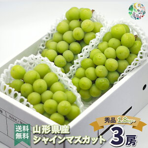 VC}XJbg 1.6kg 3[`4[ R` VC }XJbg Gi 嗱 Ԃǂ 炲 R`Y ʕ t[c Yn Y   炲ƐHׂԂǂ 햳Ԃǂ Rs 
