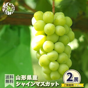 y\̔zVC}XJbg ƒp 1kg 2[ Ԃǂ 嗱 R`Y ʕ t[c Y  Gi VC}XJbgp ƒp  炲 Ȃ 炲ƐHׂԂǂ 