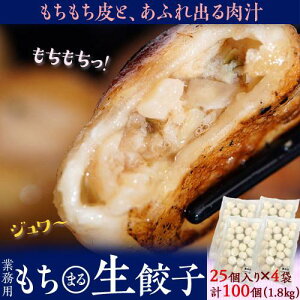 Lq 傤 Ɩp ZLq 25×4P v100 1.8kg Ⓚ  ܂ ȒP Ⓚ ⓀⓀ
