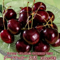 無燻蒸 特大ダークチェリー オーチャードビュー アメリカ オレゴン州産 約2kg (1kg×2パック)（28mm〜） …