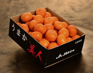 JA  ܂l ꌧY ݂ 2L`3L 5kg Yn 퉷 