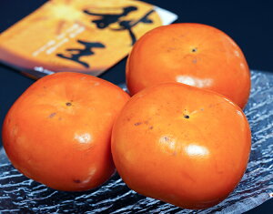 ypzH Ê` Ȃ Y ܍ 2.3kg i6`10ʁjȈՔ 퉷  Vi SÊ` ` 