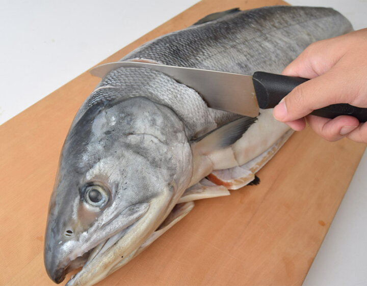 1284円 売り込み ギフト 鮭 さけ シャケ サーモン 北海道産 “新もの 肉厚” 新巻鮭 メス 限定 化粧箱 約2キロ 送料無料 冷凍 1284円 売り込み ギフト 鮭 さけ シャケ サーモン 北海道産 “新もの 肉厚” 新巻鮭 メス 限定 化粧箱 約2キロ 送料無料 冷凍