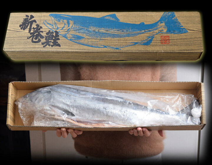1284円 売り込み ギフト 鮭 さけ シャケ サーモン 北海道産 “新もの 肉厚” 新巻鮭 メス 限定 化粧箱 約2キロ 送料無料 冷凍