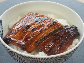 うなぎ蒲焼 業務用箱『鰻師謹製 山田のうなぎ』1箱 10食入り（1食：約80g×10袋） ※冷凍 送料無料
