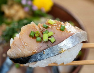 国産の大鯖使用 さば漬け丼の具 3袋(140〜169g/袋×3) 特製タレ付 スライス済 ※冷凍 冷凍同梱可