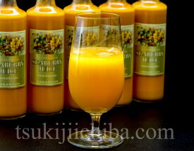 『シーベリー（サジー）100％果汁』　北海道産　希釈タイプ無糖　300ml×6本 送料無料
