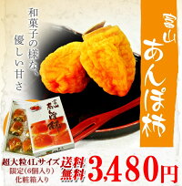 柿カキかき富山産あんぽ柿超大粒4Lサイズ6玉入630g化粧箱送料無料常温