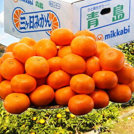 三ヶ日みかん　青島種　静岡県産 3～4Lサイズ 約7kg ※常温 JAみっかび　送料無料　三ケ日