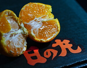 ̊ۂ݂ QY 2S`M v5kgi2.5kg×2jYn ܍ 퉷 JAɂ@