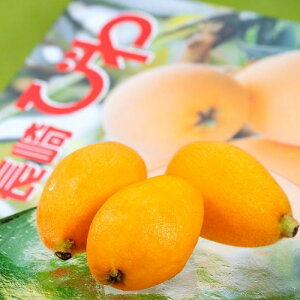 ����т� ���茧�Y L�`2L ��500g×2�� (1���F9�`12�ʁj �n�E�X�͔| ���ϔ� ���① �������� �т� ���f