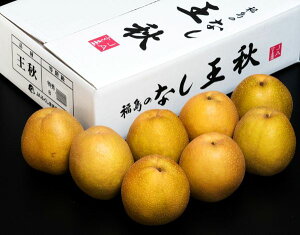  H ܂͓Ȗ،Y G`G 5kgi7`10ʁjYn ܍ ① 