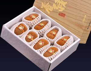  i傭j XC[g16 LECt[c 쌧Y 3`5L ܍ 1.4kg (8`10) ϔ 퉷 JA쌧 