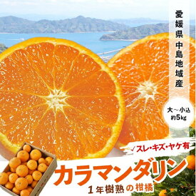 カラマンダリン 愛媛県中島産 訳あり品 約5kg （大〜小込）目安：35〜50個程度 簡易箱 ※常温 外皮にキズあり 送料無料