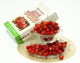さくらんぼ　北海道産(佐藤錦または紅秀峰) 秀品 約1kg バラ詰め 2～3Lサイズ 産地箱 ※冷蔵 JAよいち 送料無料