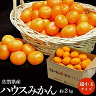 超小玉 ハウスみかん 佐賀県産 JAからつ 3～4S 約2kg(目安として45～64玉）簡易箱 ※常温 送料無料
