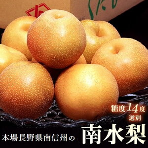 x14xI 쐅 쌧Y 2.5kgi4`8ʁjȈՔ iF۔EDȂǁj①@