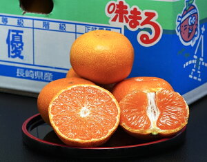 x12xI ܂݂ 茧Y D`G S`L ܍ 5kg Yn 퉷 JAȂC 