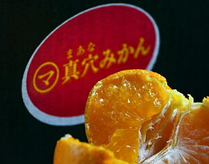 JAɂ ^݂ QY S`LTCY 3kg Yn ܍ 퉷 